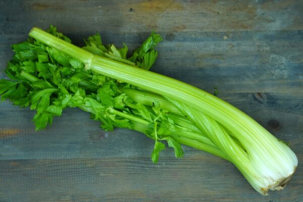 Celery<br><h6><span style="color: #164628;"> ounce</span></h6>